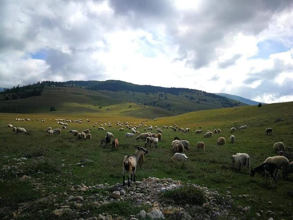 Natura As Gornji Lukomir Exteriör bild