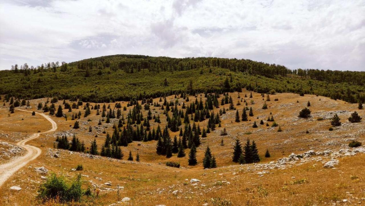 Natura As Gornji Lukomir Exteriör bild